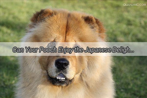 Can Your Pooch Enjoy the Japanese Delight Discover How to Safely Feed Your Dog Edamame Balls